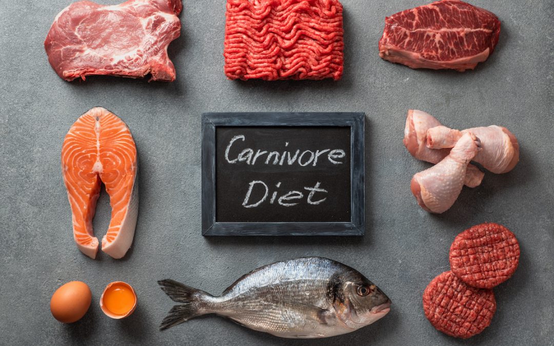 Fordele ved carnivore-diæten
